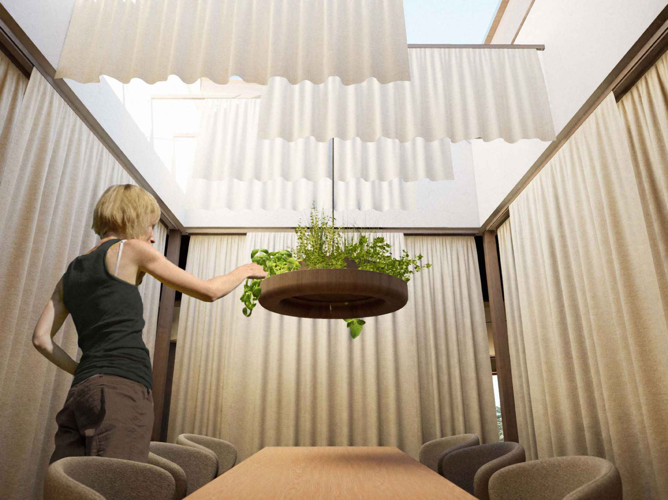 HERBAL GARDEN - Spreading fragrance to the kitchen and hallway. The direct light from the skylight is diffused by the hanging curtains